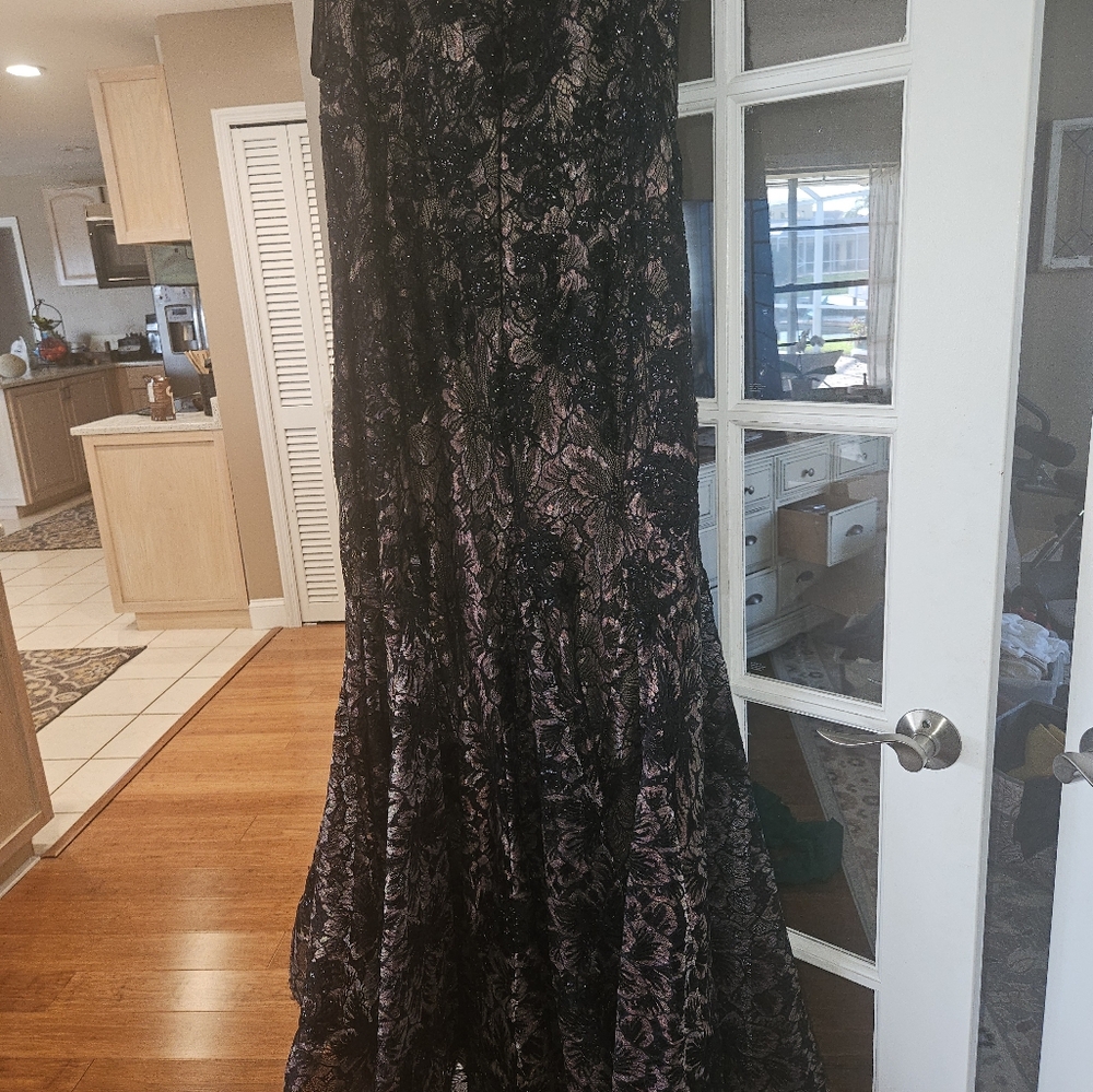 Ivonne D size 16 With A Few Alterations! - Picture 6 of 16
